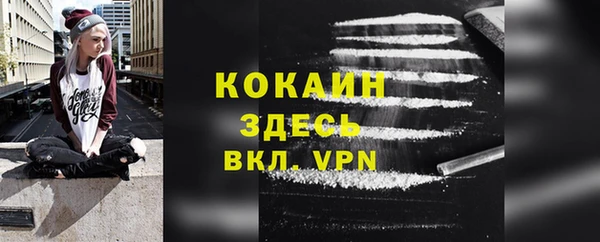 шишки Белоозёрский