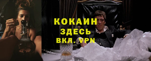 мет Белокуриха