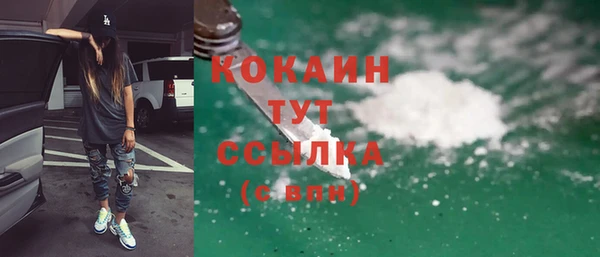 шишки Белоозёрский