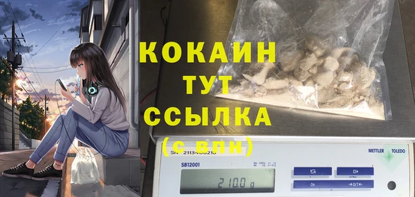 шишки Белоозёрский