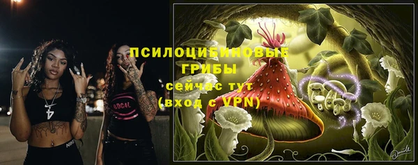 шишки Белоозёрский