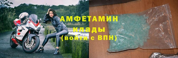 шишки Белоозёрский