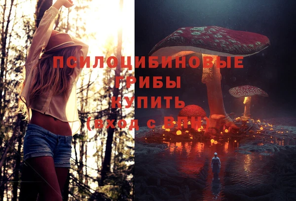 шишки Белоозёрский